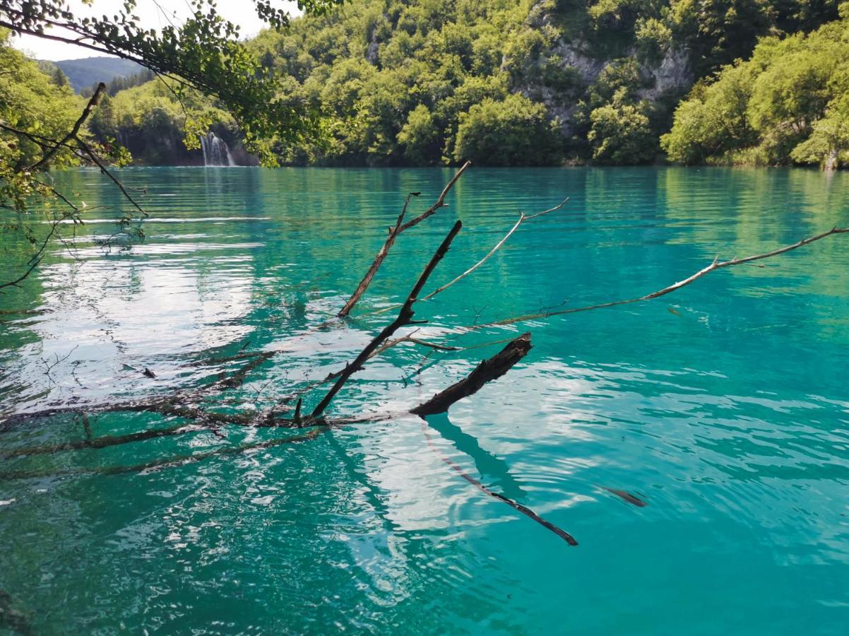 פליטויקה סלו Green Garden Plitvice Lakes מראה חיצוני תמונה